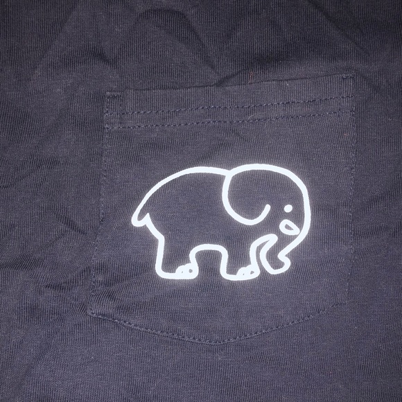 ivory ella short sleeve top - Picture 3 of 4